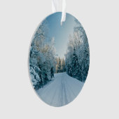 氷と雪 | 凍ってい Winter Road Russia，シベリア オーナメント (正面)