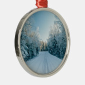 氷と雪 | 凍ってい Winter Road Russia，シベリア メタルオーナメント (右)