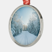 氷と雪 | 凍ってい Winter Road Russia，シベリア メタルオーナメント (左)