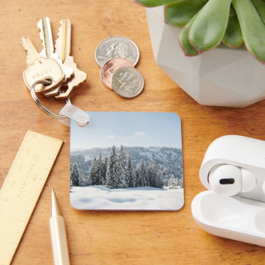 氷と雪 | Allgau Bavaria Germany キーホルダー (デスク)