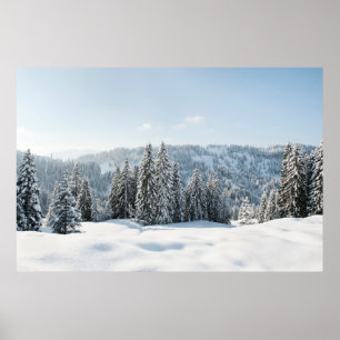 氷と雪 Allgau Bavaria Germany ポスター