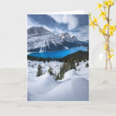氷と雪 | Peyto Lake, Canadian Rockies カード (黄色い花)