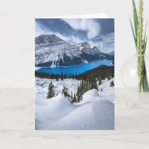 氷と雪 Peyto Lake, Canadian Rockies カード