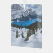 氷と雪 | Peyto Lake, Canadian Rockies ガラスオーナメント (正面左)