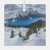 氷と雪 | Peyto Lake, Canadian Rockies ガラスオーナメント (正面)