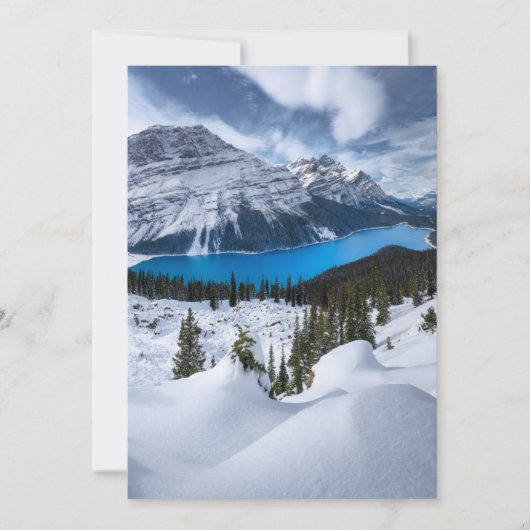氷と雪 | Peyto Lake, Canadian Rockies サンキューカード (正面)