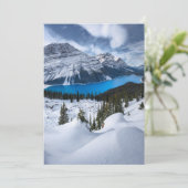 氷と雪 | Peyto Lake, Canadian Rockies サンキューカード (スタンド正面)