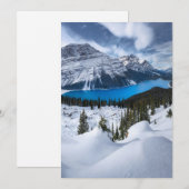 氷と雪 | Peyto Lake, Canadian Rockies サンキューカード (正面/裏面)