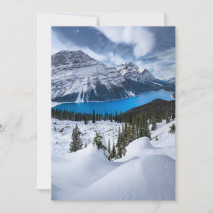 氷と雪 Peyto Lake, Canadian Rockies サンキューカード