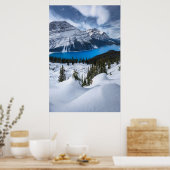 氷と雪 | Peyto Lake, Canadian Rockies ポスター (キッチン)