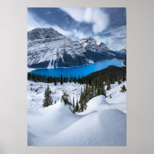氷と雪   Peyto Lake, Canadian Rockies ポスター