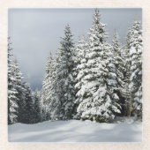 氷と雪 | Pine Woodland，オーストリア ガラスコースター (正面)
