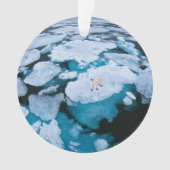 氷と雪 | Polar Bear，北極海，スバルバード オーナメント (正面)