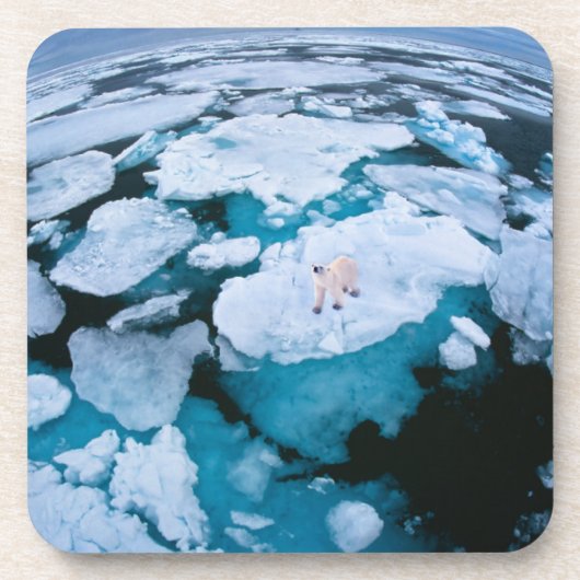 氷と雪 | Polar Bear，北極海，スバルバード コースター (正面)