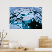 氷と雪 | Polar Bear，北極海，スバルバード ポスター (キッチン)