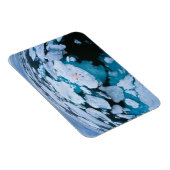 氷と雪 | Polar Bear，北極海，スバルバード マグネット (右側)