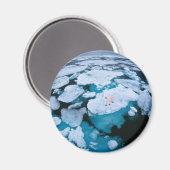 氷と雪 | Polar Bear，北極海，スバルバード マグネット (正面/裏面)