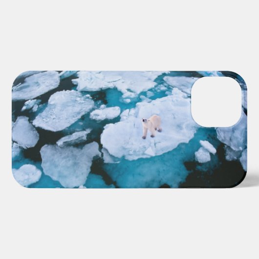 氷と雪 | Polar Bear，北極海，スバルバード iPhoneケース (裏面横)