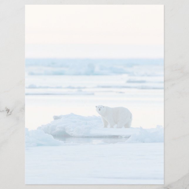 氷と雪 | Polar Bear Iceberg Norway (正面)