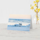氷と雪 | Polar Bear Iceberg Norway カード (黄色い花)