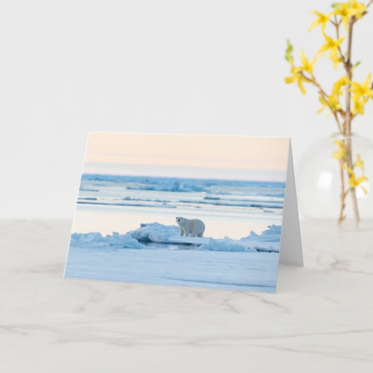 氷と雪 | Polar Bear Iceberg Norway カード (黄色い花)
