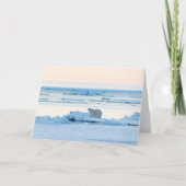 氷と雪 | Polar Bear Iceberg Norway カード (正面)