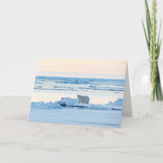 氷と雪 | Polar Bear Iceberg Norway カード (正面)