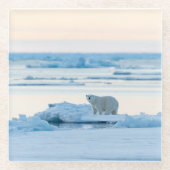 氷と雪 | Polar Bear Iceberg Norway ガラスコースター (正面)
