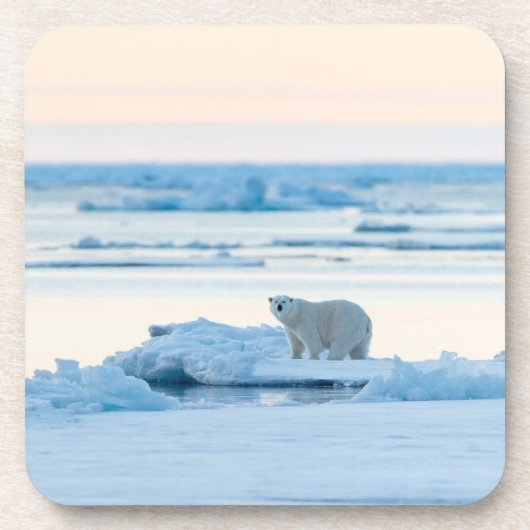 氷と雪 | Polar Bear Iceberg Norway コースター (正面)