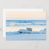 氷と雪 | Polar Bear Iceberg Norway サンキューカード (正面/裏面)