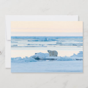 氷と雪 Polar Bear Iceberg Norway サンキューカード