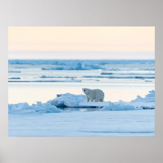 氷と雪 | Polar Bear Iceberg Norway ポスター (正面)