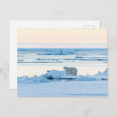 氷と雪 | Polar Bear Iceberg Norway ポストカード (正面/裏面)