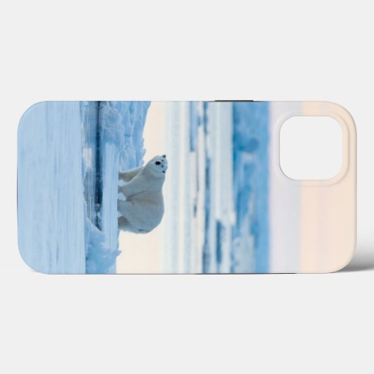 氷と雪 | Polar Bear Iceberg Norway Case-Mate iPhoneケース (裏面 (横))