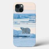 氷と雪 | Polar Bear Iceberg Norway Case-Mate iPhoneケース (裏面)