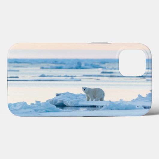 氷と雪 | Polar Bear Iceberg Norway Case-Mate iPhoneケース (裏面 (横))