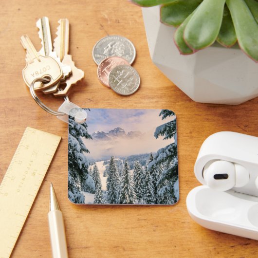 氷と雪 | Rosengarten，ドイツ キーホルダー (デスク)