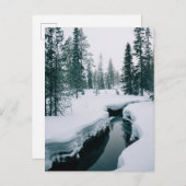 氷と雪 | Stream in a Snowy Winter Landscape ポストカード (正面/裏面)