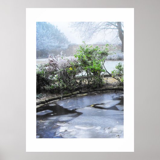 氷と霧 ポスター (正面)