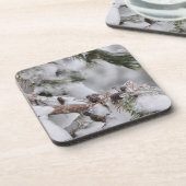 氷に包まれた松のコーン コースター (左側)