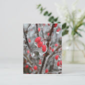 氷に包まれた赤い果実 ポストカード (スタンド正面)