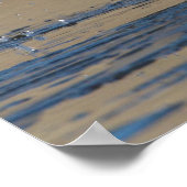 氷に羽ばたいている雄のゴルデナイ ポスター (角)