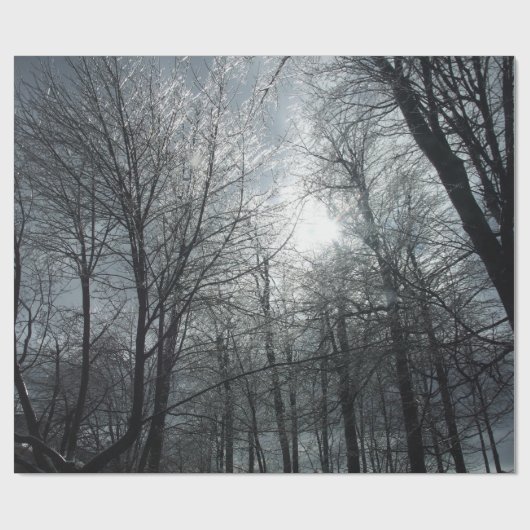 氷に覆われた木々が日の下に落ちた ラッピングペーパー (フラット)