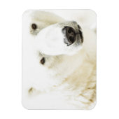 氷のようなシロクマの視線 マグネット (縦)