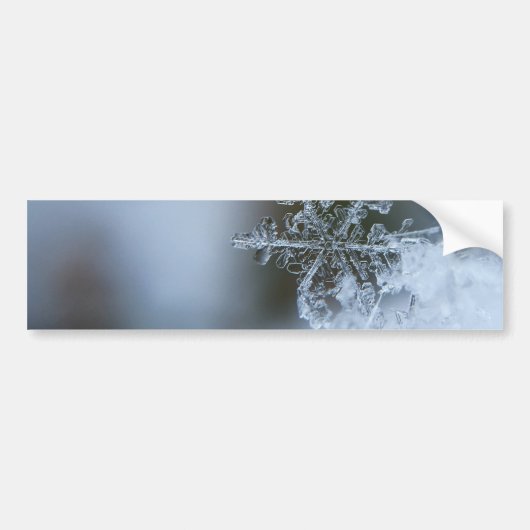 氷のような雪片 バンパーステッカー (正面)