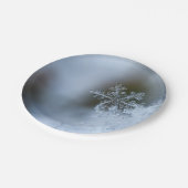 氷のような雪片 ペーパープレート (アングル)
