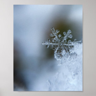 氷のような雪片 ポスター
