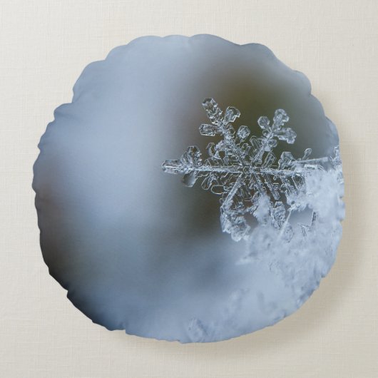 氷のような雪片 ラウンドクッション (正面)