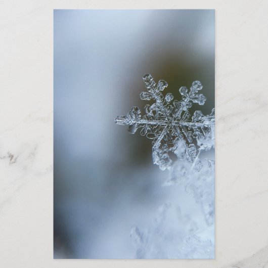 氷のような雪片 便箋 (正面)