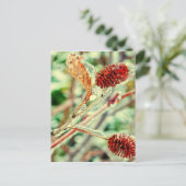 氷のような ポストカード (スタンド正面)